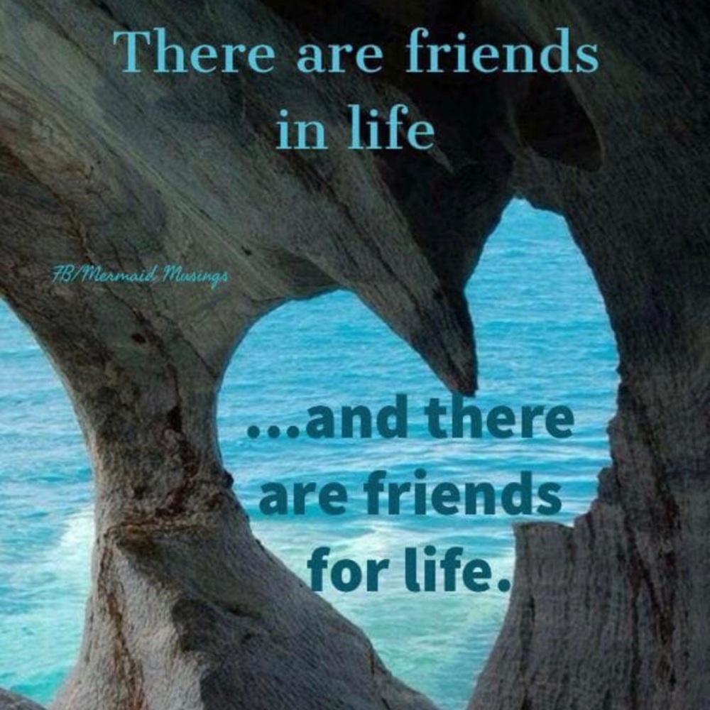 Meet your Posher, Yvette